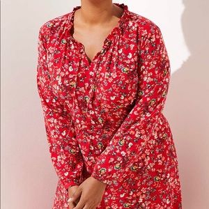 Ann Taylor LOFT Primrose Flare Dress - 18